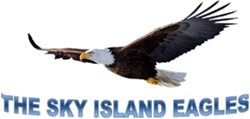 EAA Chapter 776 Logo - Sky IslandEagles