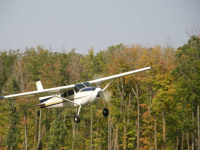 EAA