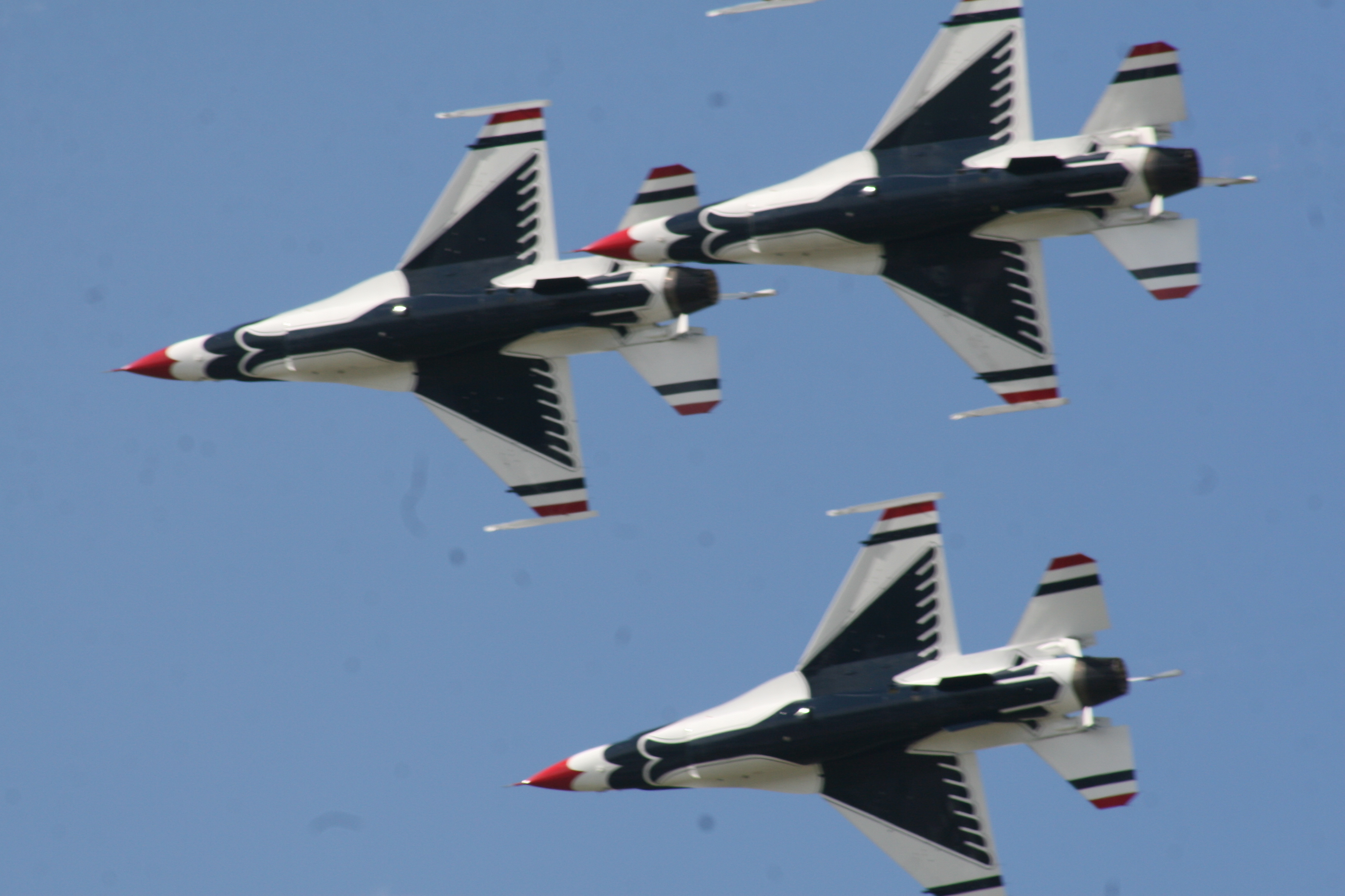 Thunderbird bellies