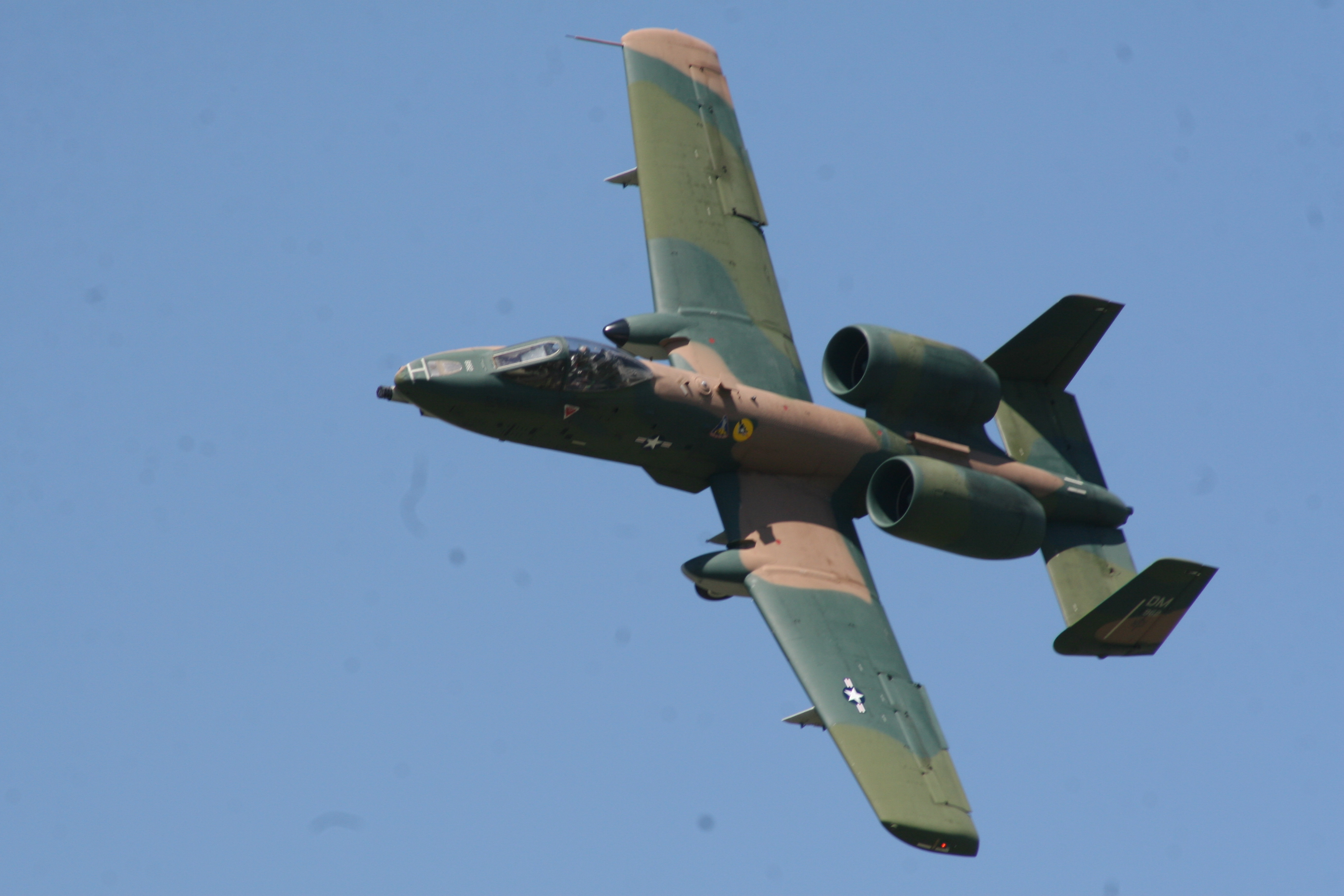 Warthog flown by Lindsey